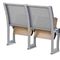 Огнеупорные стулья складчатости металла переклейки для лекционного зала с прочной конструкцией поставщик