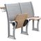 Огнеупорные стулья складчатости металла переклейки для лекционного зала с прочной конструкцией поставщик